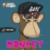 S&T Monkey