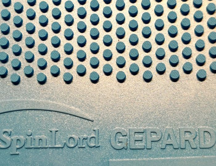 SpinLord Gepard